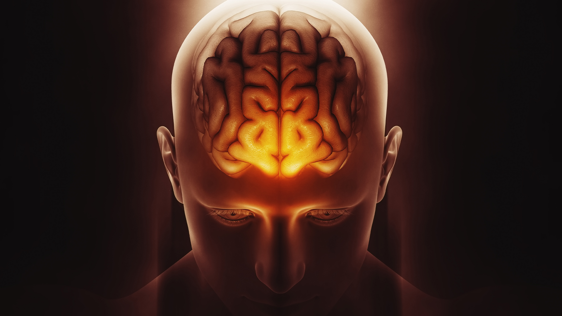 Memória em alta: como recuperar foco e clareza mental no dia a dia