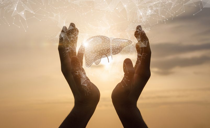 Hepro: O Suporte Diário que Seu Fígado Precisa para a Saúde e Vitalidade Contínua